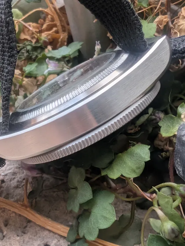 Reloj Seestern Cronógrafo Hand Winding