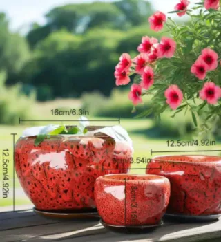 3 Macetas Cerámica Estilo Pavo Real