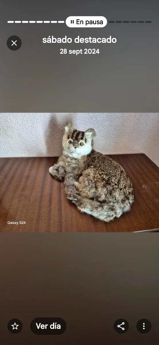 Gatito de peluche