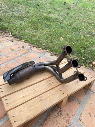 Collettori Triumph Street Triple 765