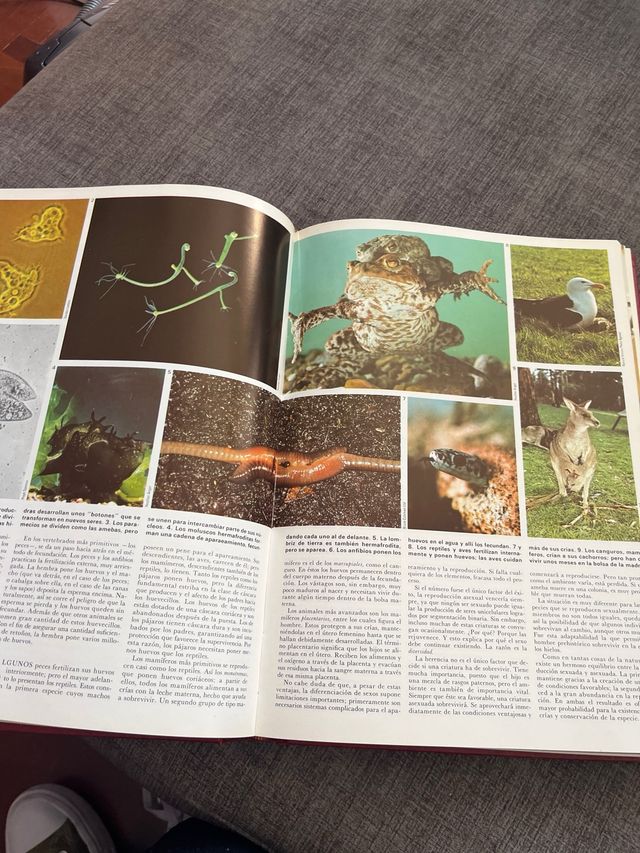 enciclopedia de la vida parte 3