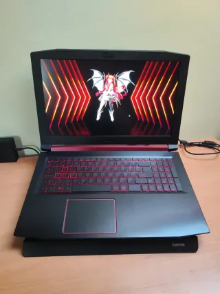 Portátil Gaming Acer Nitro