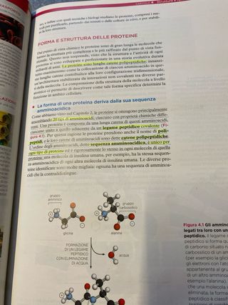 L'essenziale di biologia molecolare della cellula