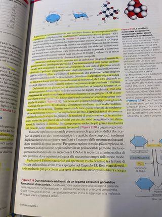 L'essenziale di biologia molecolare della cellula