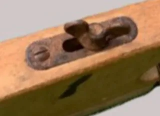 Guillamen de carpintero