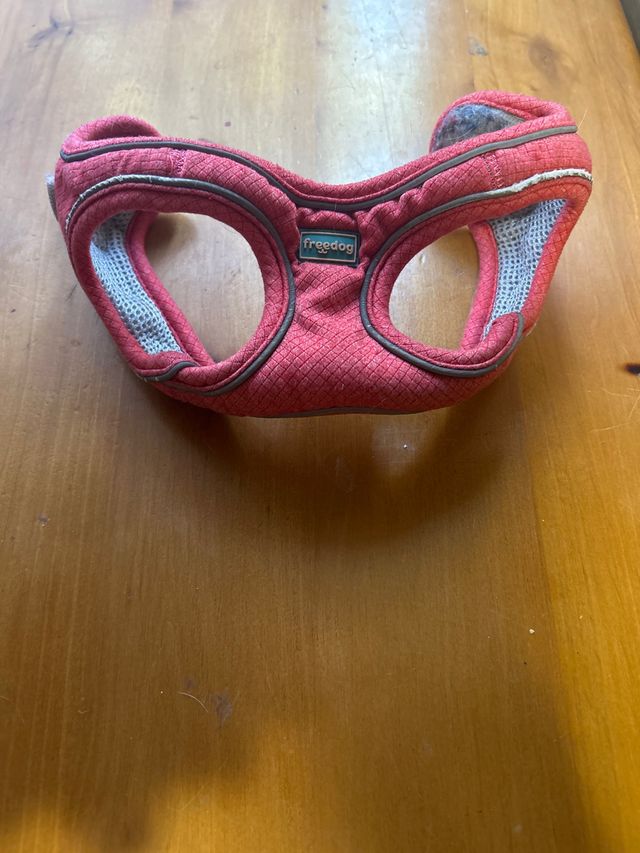 Arnés para perro pequeño Freedog Talla S