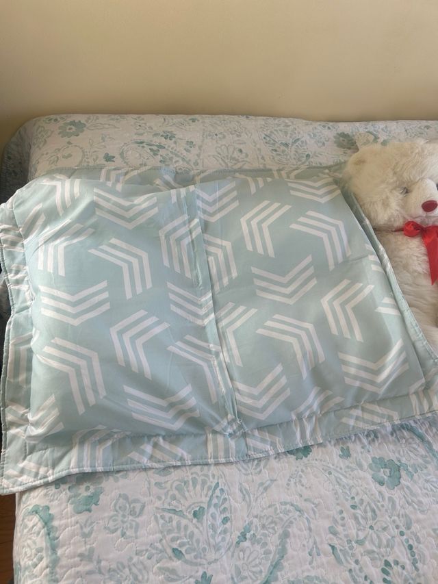 Edredón y 2 cojines a juego