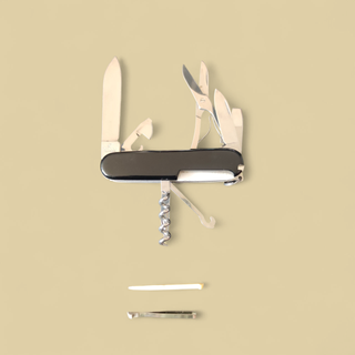 Coltellino Victorinox