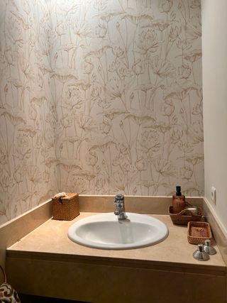 pintor  servicios de pintura profesional