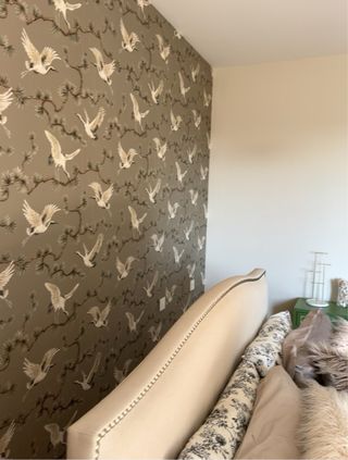 pintor  servicios de pintura profesional