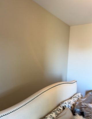 pintor  servicios de pintura profesional