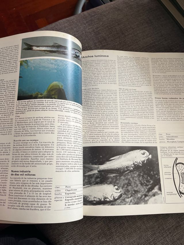 enciclopedia de la vida animal, seis partes