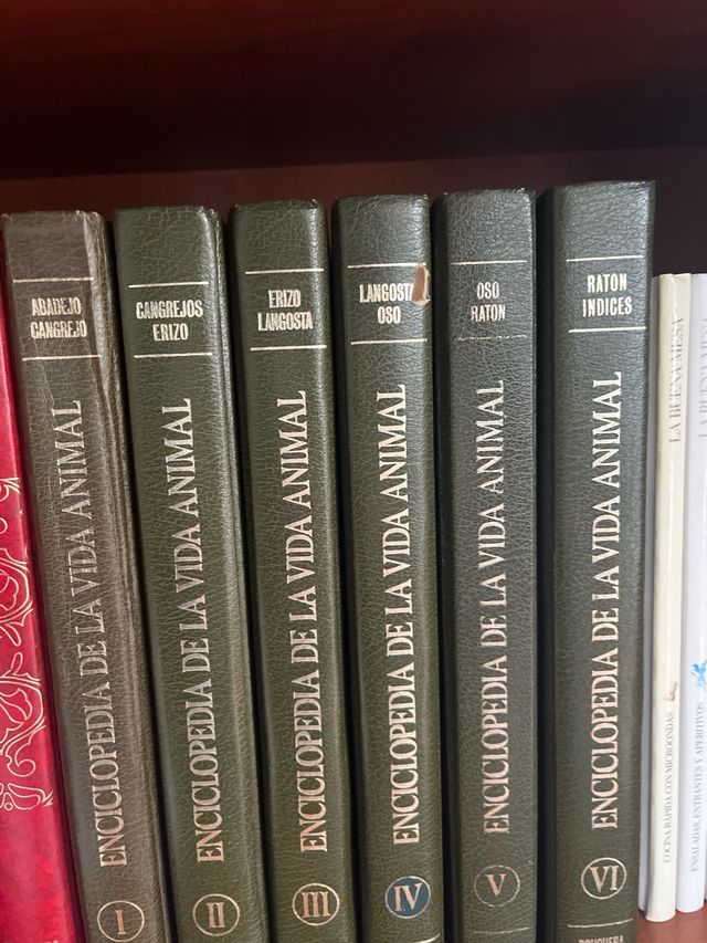 enciclopedia de la vida animal, seis partes