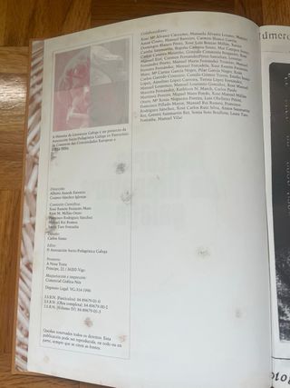 Historia da literatura galega