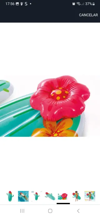Colchoneta Hinchable Intex Cactus