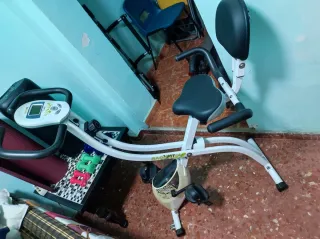 Bicicleta Estática BH Back Fit plegable