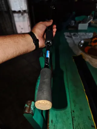 Canna da pesca spinning/baitcasting