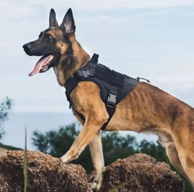 Arnés Táctico Militar Perro Negro
Talla L