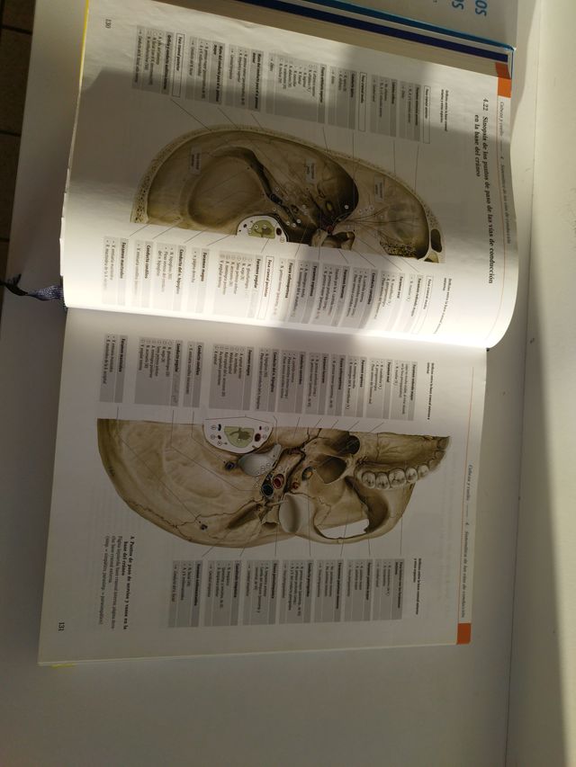 Prometheus Medicina 3 Tomos 3ª Edición
