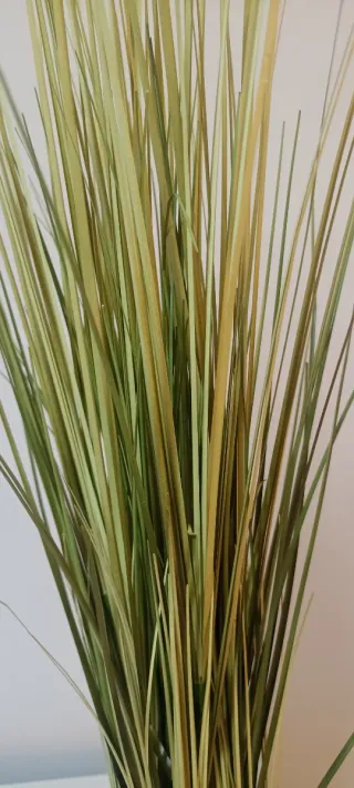 Haz de césped decorativo