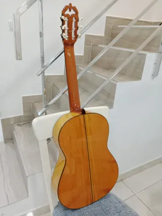 Guitarra Juan Montes 32 AES Amplificada