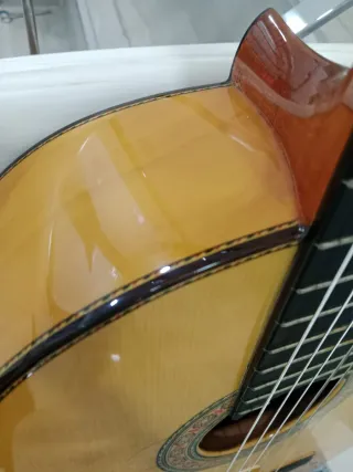 Guitarra Juan Montes 32 AES Amplificada
