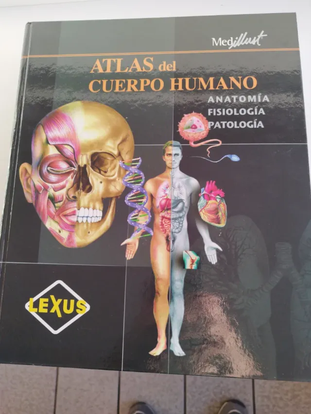 Atlas del Cuerpo Humano Medillust,