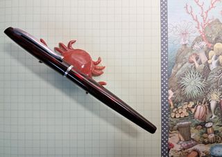 Pluma China Elegante