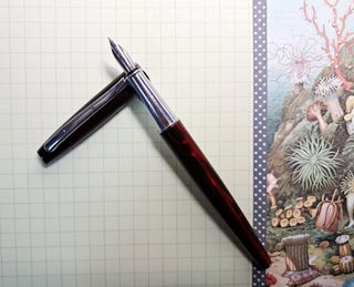 Pluma China Elegante