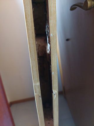 Puerta blindada lisa