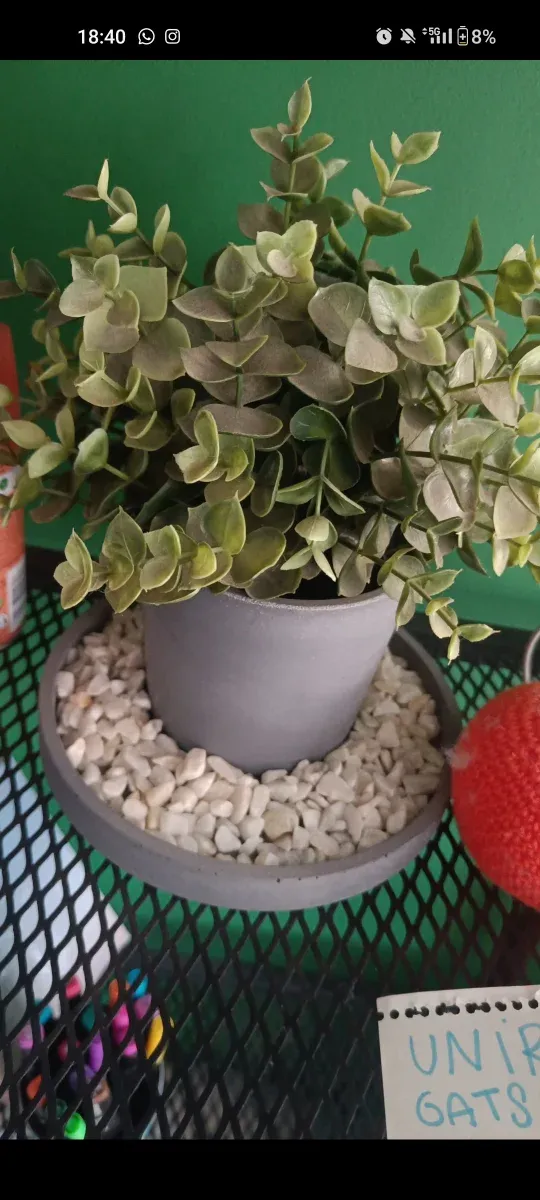 Planta decorativa gris y verde