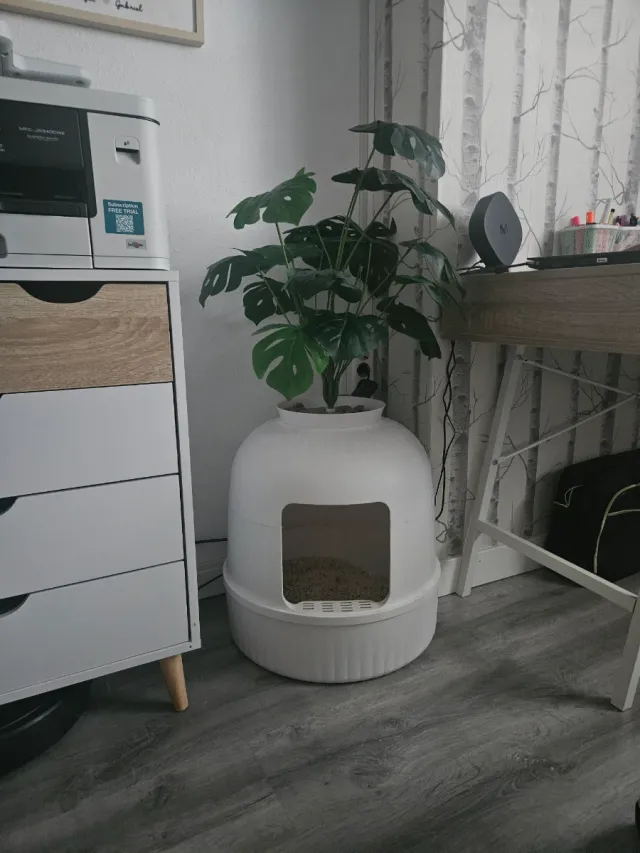 Arenero para gatos diseño moderno