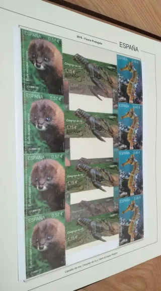 COLLEZIONE DI FRANCOBOLLI DELLA SPAGNA - ALBUM EDIFIL 2015 E 2016