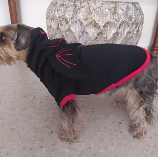 Set di costumi per cani di Halloween