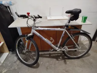 Bicicleta de Montaña Plata