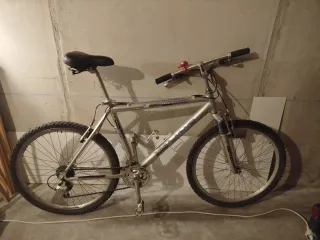 Bicicleta de Montaña Plata