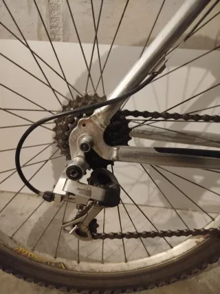 Bicicleta de Montaña Plata