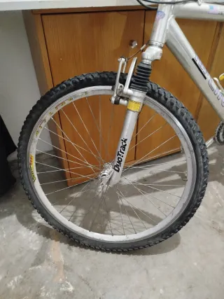 Bicicleta de Montaña Plata
