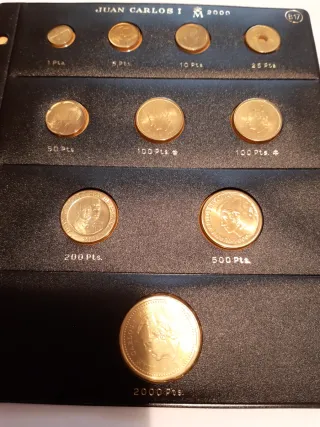 Lote para Dolfim
