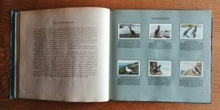 Álbum aleman de cromos de pajaros