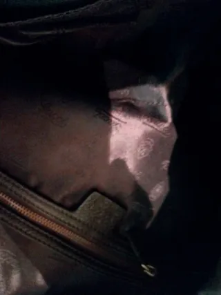 Bolso Gucci Babushka Marrón y Negro