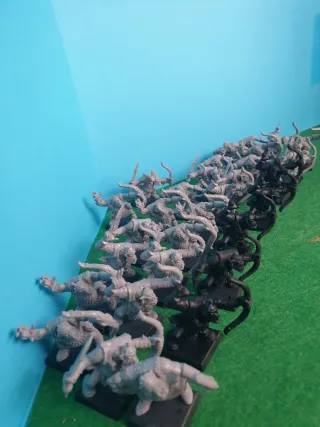 Warhammer Archers, confezione da 30
