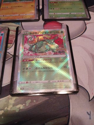 Lote Cartas Pokémon TCG