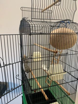 Jaula para pájaros completa.