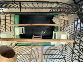 Jaula para pájaros completa.