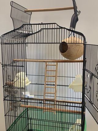 Jaula para pájaros completa.