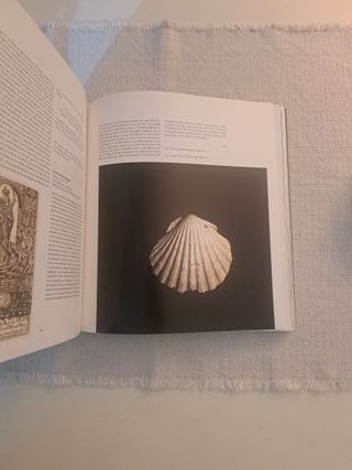 Santiago camino de Europa