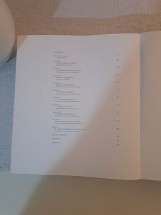 Santiago camino de Europa