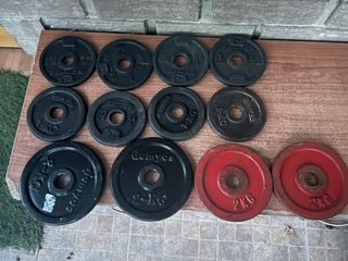 Discos de pesas Domyos 16 kg