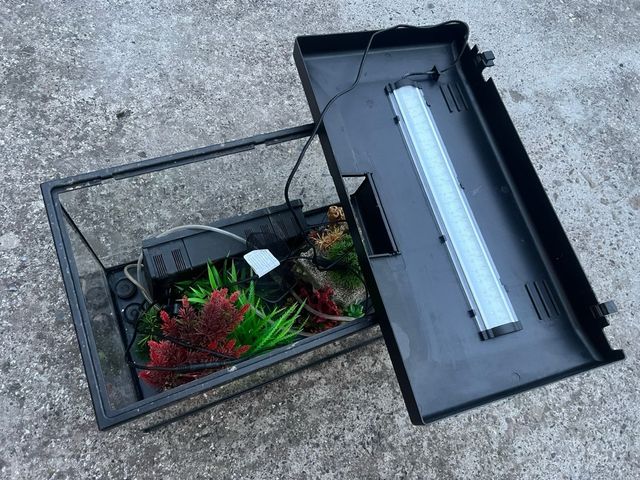 Pecera de cristal con accesorios